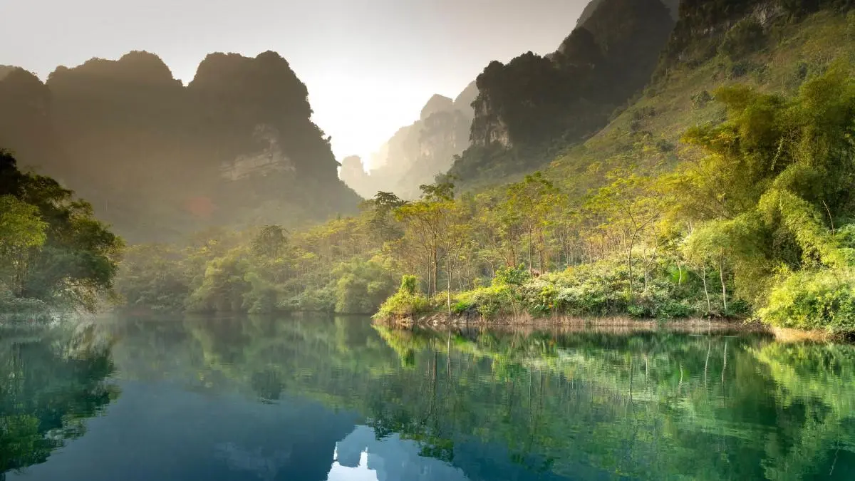 绿色电子高性能